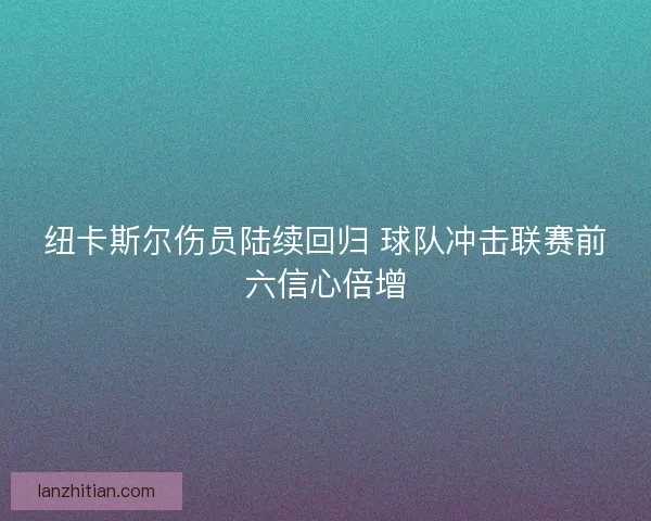 纽卡斯尔伤员陆续回归 球队冲击联赛前六信心倍增