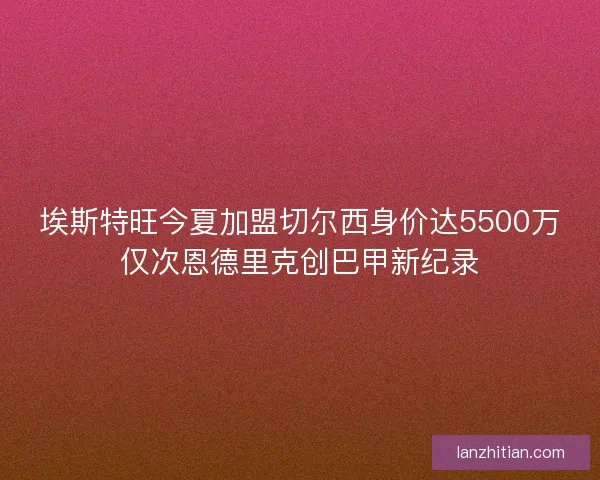 埃斯特旺今夏加盟切尔西身价达5500万仅次恩德里克创巴甲新纪录